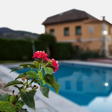 מלון Casa Hijos Dalgo 3*