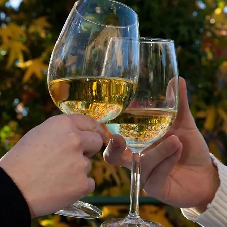 酒店 Casa Hijos Dalgo 3*