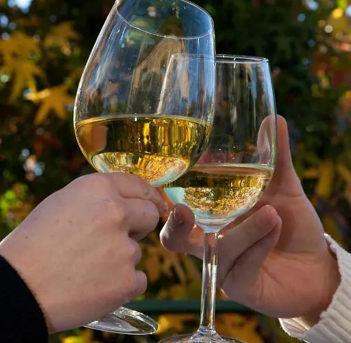 Hotel Casa Hijos Dalgo 3*